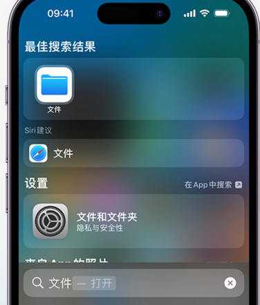 资溪apple维修中心分享iPhone文件应用中存储和找到下载文件