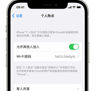 资溪apple服务站点分享iPhone上个人热点丢失了怎么办 