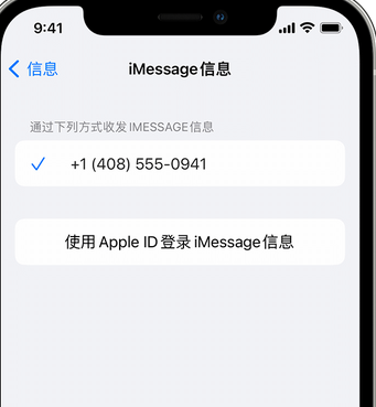 资溪apple维修iPhone上无法正常发送iMessage信息 