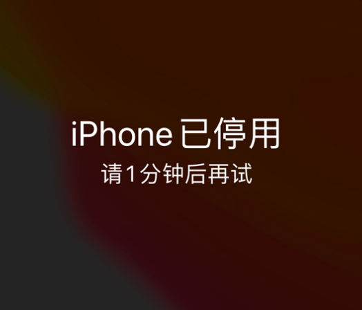 资溪苹果手机维修分享:iPhone 显示“不可用”或“已停用”怎么办？还能保留数据吗？ 