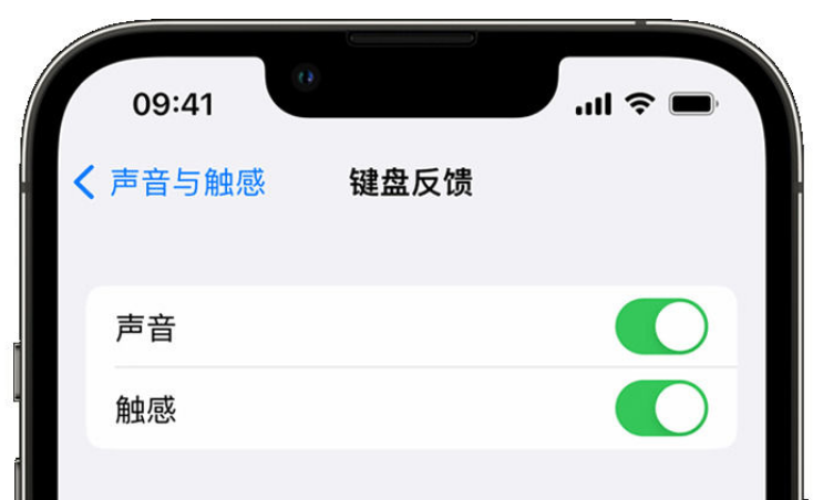 资溪苹果手机维修分享iPhone 14触感键盘使用方法 