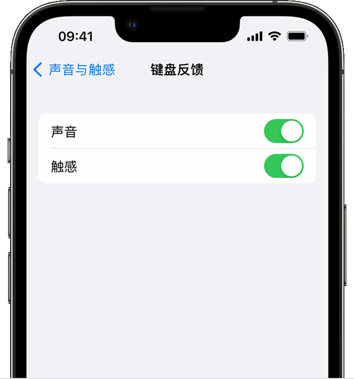 资溪苹果14维修店分享如何在 iPhone 14 机型中使用触感键盘 