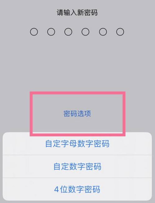 资溪苹果14维修分享iPhone 14plus设置密码的方法 